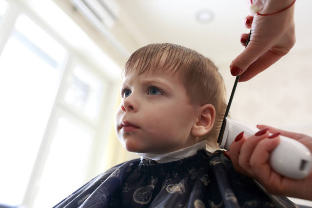 Boy having haircut - Foto, afbeelding