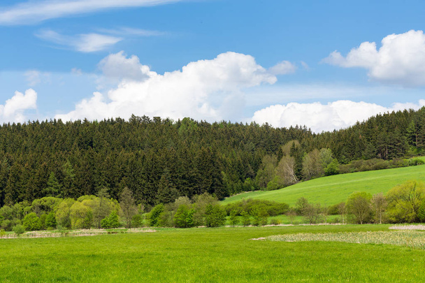Beautiful spring rural landscape - Φωτογραφία, εικόνα