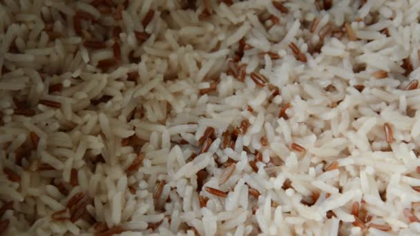 Μικτή cargo κόκκινο ρύζι στον ατμό στη μαγειρική ποτ - Πλάνα, βίντεο