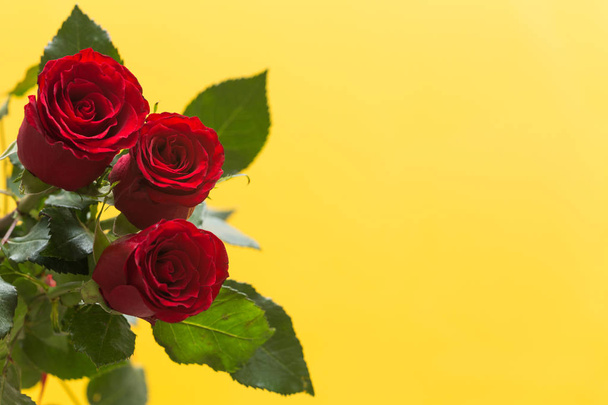 περιστασιακή πανέμορφα κόκκινα τριαντάφυλλα σε κίτρινο φόντο με θέση για αφιερώσεις ή επιθυμίες - Φωτογραφία, εικόνα