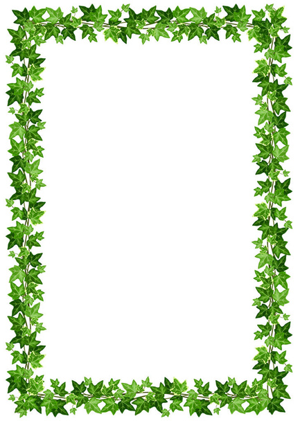 Vector background frame with green ivy leaves on a white background. - Vektör, Görsel