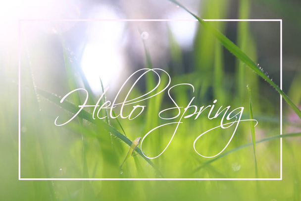 low angle view image of fresh grass. freedom and renewal concept with spring text. - Foto, afbeelding