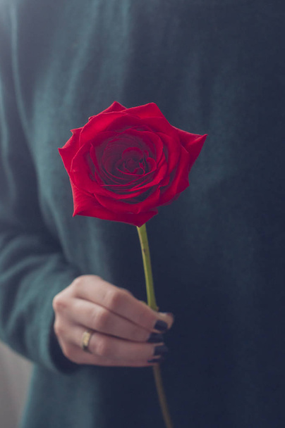 girl with a red rose - Valokuva, kuva
