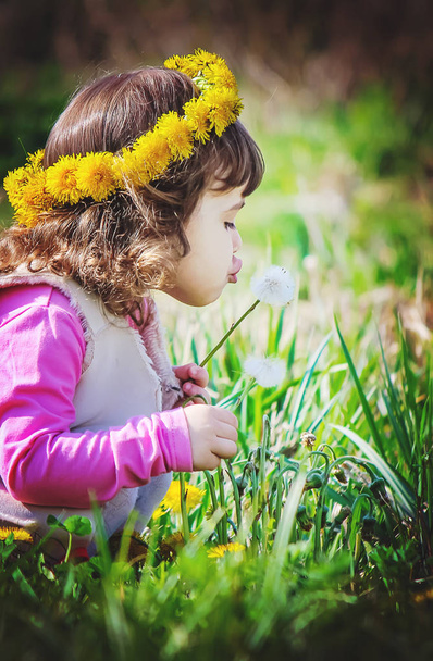 Girl with flowers of dandelions. Selective focus. - Fotó, kép