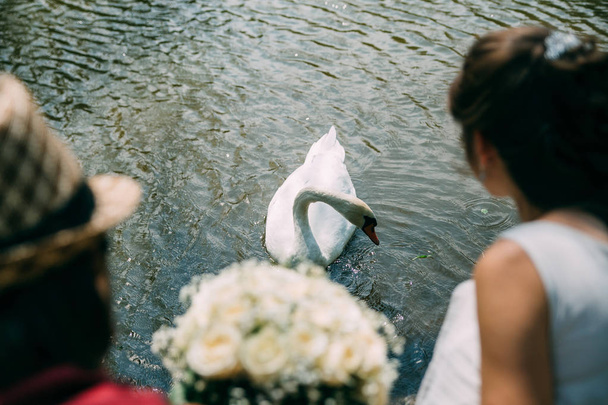Une paire de jeunes mariés avec un bouquet de roses blanches se trouve près du lac. cygne nage
 - Photo, image