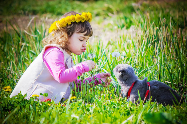 A child and a cat. Selective focus. - Photo, Image