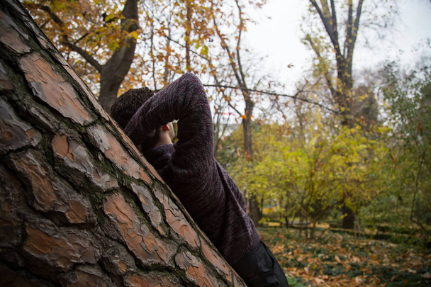 Hombre irreconocible de pie en el bosque y apoyado en el tronco del árbol mientras mira el cielo nublado
. - Foto, imagen
