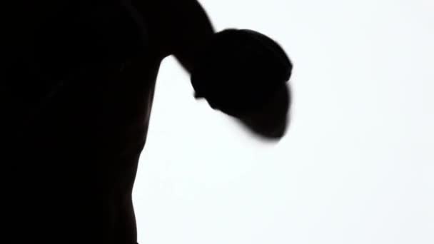 Um lutador sem regras treina socos e cotovelos. Silhueta de um jovem desportivo durante o corpo a corpo em aulas de artes marciais. Treinamento desportivo. Objeto preto isolado no fundo branco
. - Filmagem, Vídeo