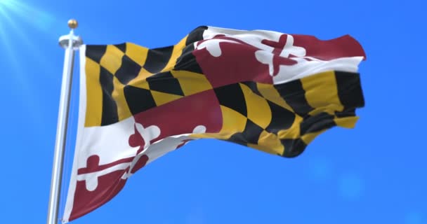 Vlajka z amerického státu Maryland, oblast Spojených států - smyčka - Záběry, video