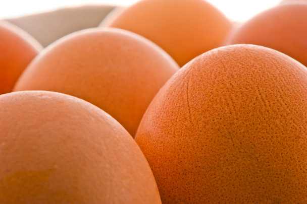 Estudio fotografía limpia huevos crudos marrones
 - Foto, imagen