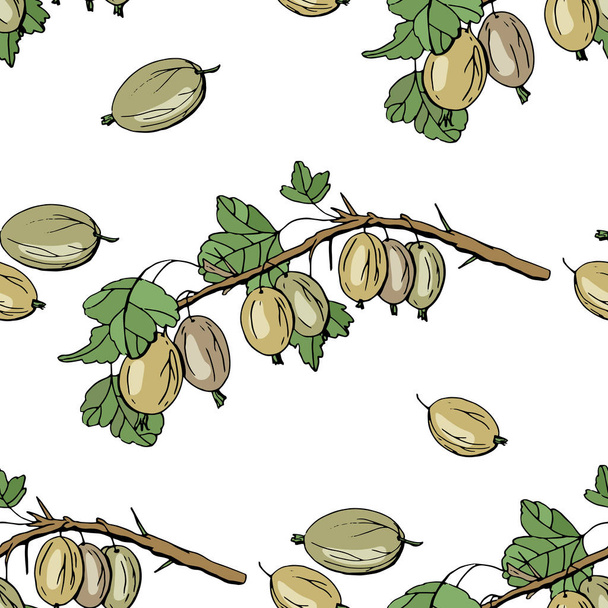 Seamless pattern with floral elements on white. Endless texture with gooseberry - Διάνυσμα, εικόνα