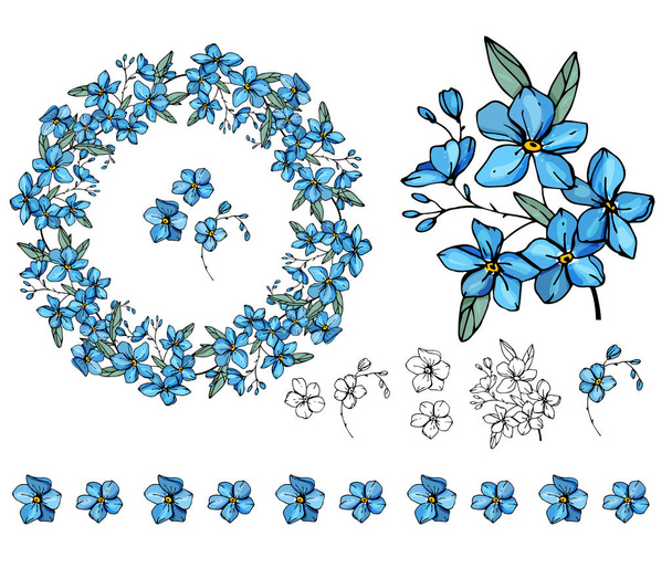 Set with blue forget me nots on white. - Vector, Image