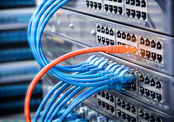 кабель Ethernet на фоні мережевих комутаторів
 - Фото, зображення