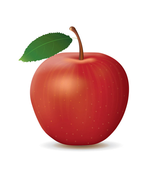 realistischer roter Apfel - Vektor, Bild