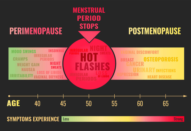 Fasi della menopausa Infografica
 - Vettoriali, immagini