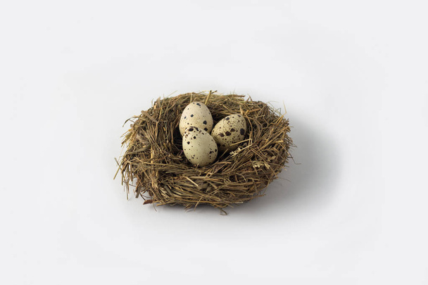 Kwartel eieren in een nest op een witte achtergrond. Genomen in een hoek - Foto, afbeelding