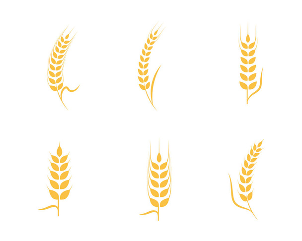 Шаблон логотипу сільськогосподарської пшениці
 - Вектор, зображення