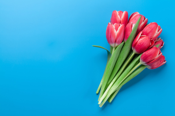 Букет з червоних тюльпанів на синьому фоні. Вид зверху з пробілом для копіювання
 - Фото, зображення