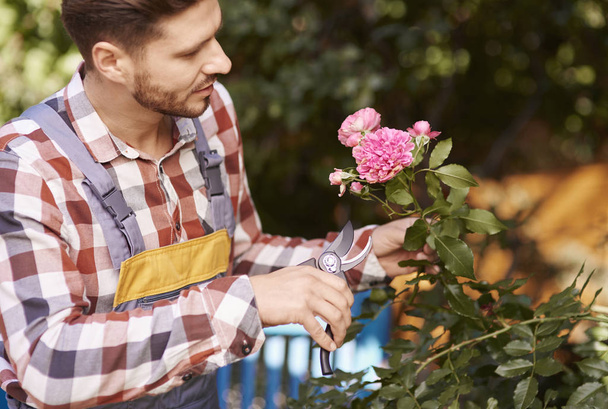 Садовник с обрезками для обрезки цветов
  - Фото, изображение