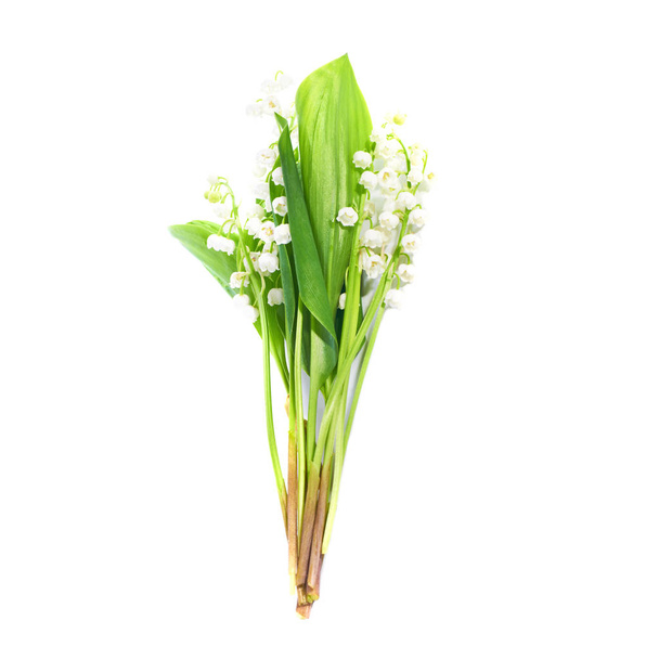 Convallaria flowers known as lilies of the valley isolated on white - Photo, Image
