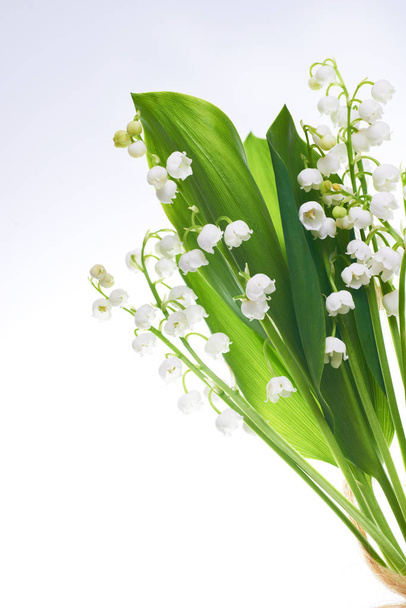 Convallaria flores conocidas como lirios del valle aislados en blanco
 - Foto, imagen
