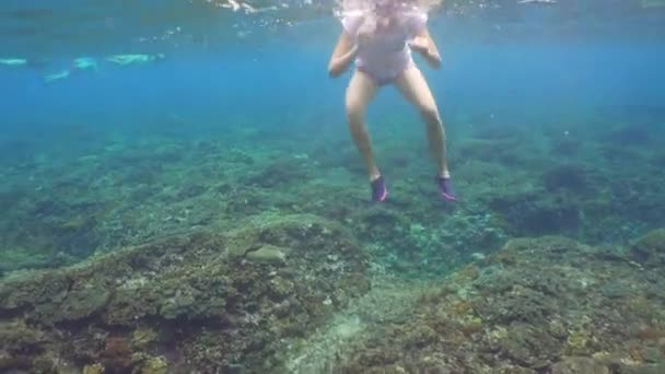 Chica buceando bajo el agua
. - Metraje, vídeo