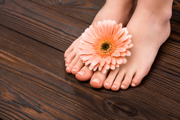 обрізаний вид ніг з природним педикюром і квітка гербери на дерев'яній поверхні
 - Фото, зображення