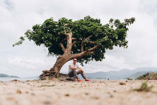 Veduta dell'uomo seduto sulla spiaggia vicino all'albero
 - Foto, immagini