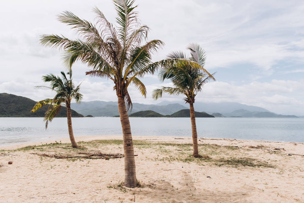 Palmiye ağaçları ve kıyısında mavi gökyüzü ile kumlu plaj tropikal ada görünümünü  - Fotoğraf, Görsel
