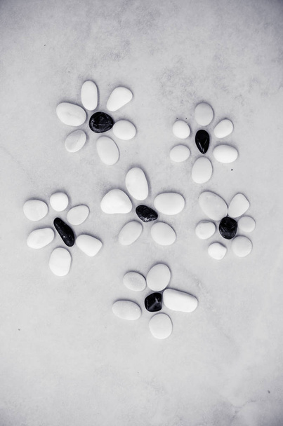 лінія білих чорних квітів з маленької гальки
 - Фото, зображення