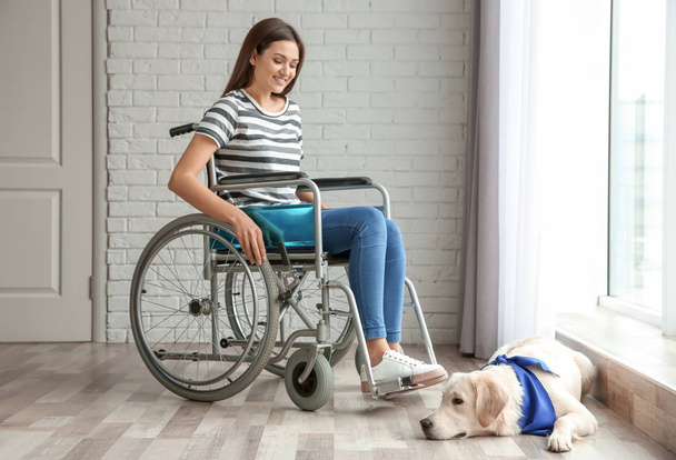 woman in wheelchair with dog  - Photo, image