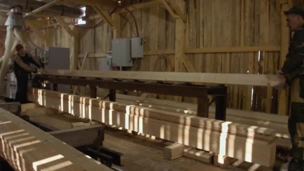 Les travailleurs du bois placent des panneaux de bois sur une machine de menuiserie à la scierie
 - Séquence, vidéo