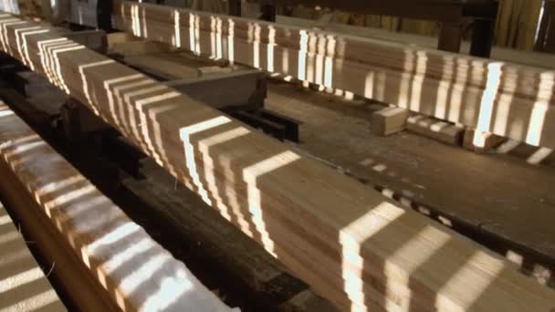 Tischler legt Holzbrett auf Tischler-Maschine in Holzfabrik - Filmmaterial, Video