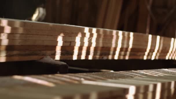 Εργαζόμενοι σήκωσε ανεπεξέργαστα ξύλινη σανίδα από σωρό στο πριονιστήριο αποθήκευσης - Πλάνα, βίντεο