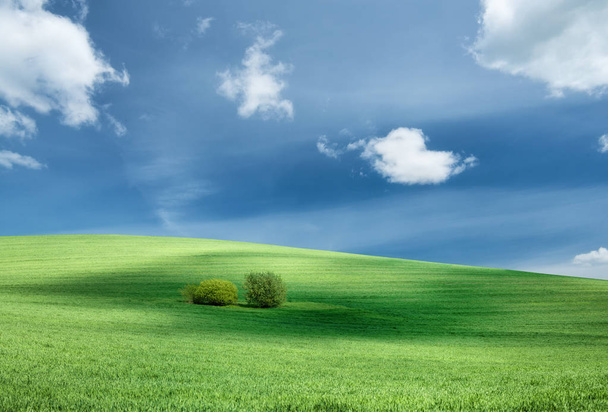 Pola i niebo. Krajobrazu rolniczego w okresie letnim - Zdjęcie, obraz