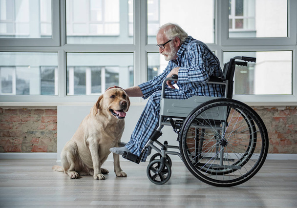 Calm old male on wheelchair stroking the pooch in room - Zdjęcie, obraz