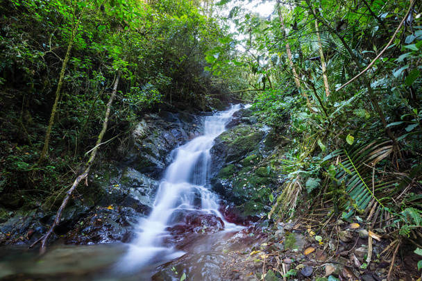 Prachtig stromend beekwater in het regenwoud. Costa Rica, Midden-Amerika - Foto, afbeelding