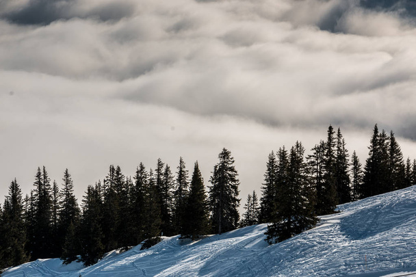 雪の山と谷を霧の上に - 写真・画像