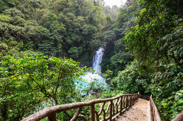 Величний водоспад у джунглях Коста-Рики. Тропічна прогулянка. - Фото, зображення