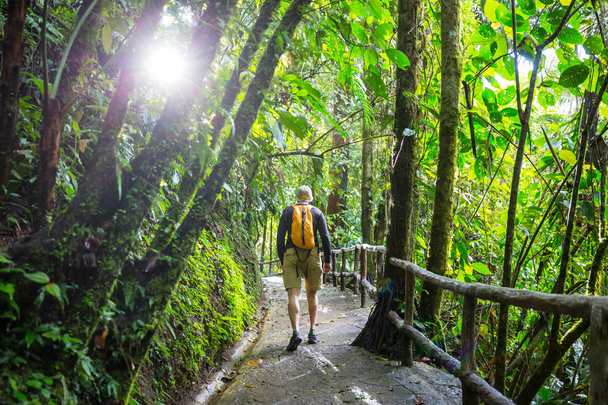 Wandelen in groene tropische jungle, Costa Rica, Midden-Amerika - Foto, afbeelding