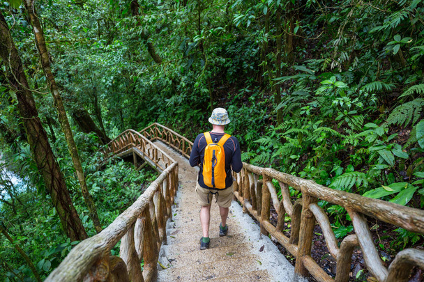 Túrázás a zöld trópusi dzsungelben, Costa Rica, Közép-Amerika - Fotó, kép