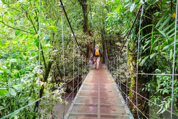 Escursioni nella verde giungla tropicale, Costa Rica, America centrale - Foto, immagini