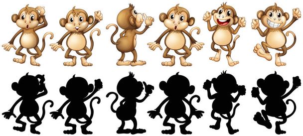 Affen und ihre Silhouette an verschiedenen Stellen - Vektor, Bild