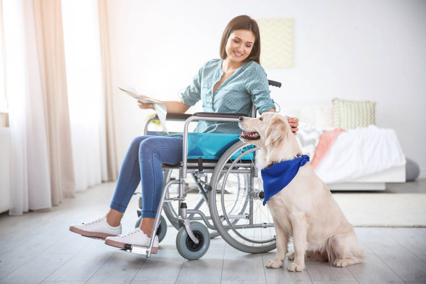 Жінка в інвалідному візку читає газету з службовим собакою біля її боку в приміщенні
 - Фото, зображення