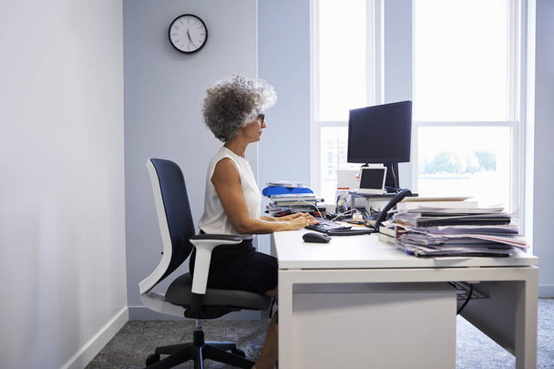 Middle aged businesswoman using laptop computer in her office - Foto, Imagen