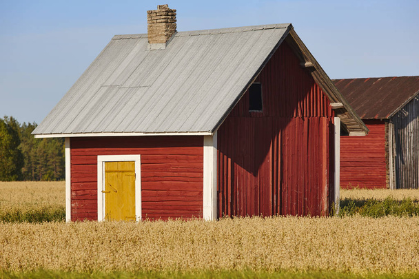 Traditional finnish red wooden farm in the countryside - Foto, imagen