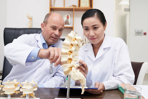 Medical workers discussing model of spine structure - Photo, Image