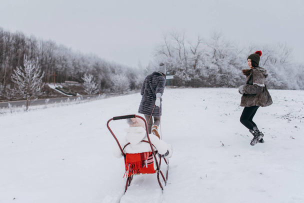 Мать со старшей дочерью катается на санках с младшей дочерью в зимнем парке
 - Фото, изображение