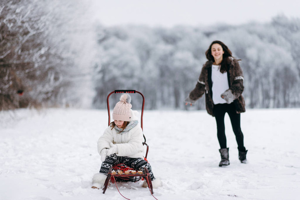 Smaller girl sitting on sleigh and elder girl having fun on background - Photo, Image
