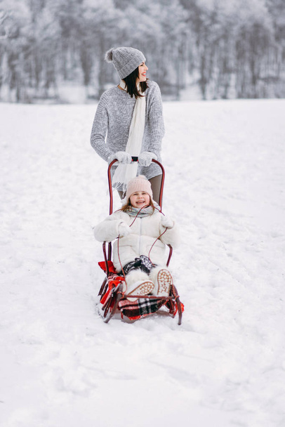 Front view of woman sledding girl in winter park - Foto, imagen